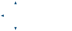 Chiropractor Molalla OR Molalla Spine & Sport Leaf Final Header Logo
