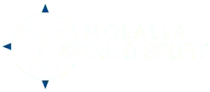 Chiropractor Molalla OR Molalla Spine & Sport Leaf Final Header Logo